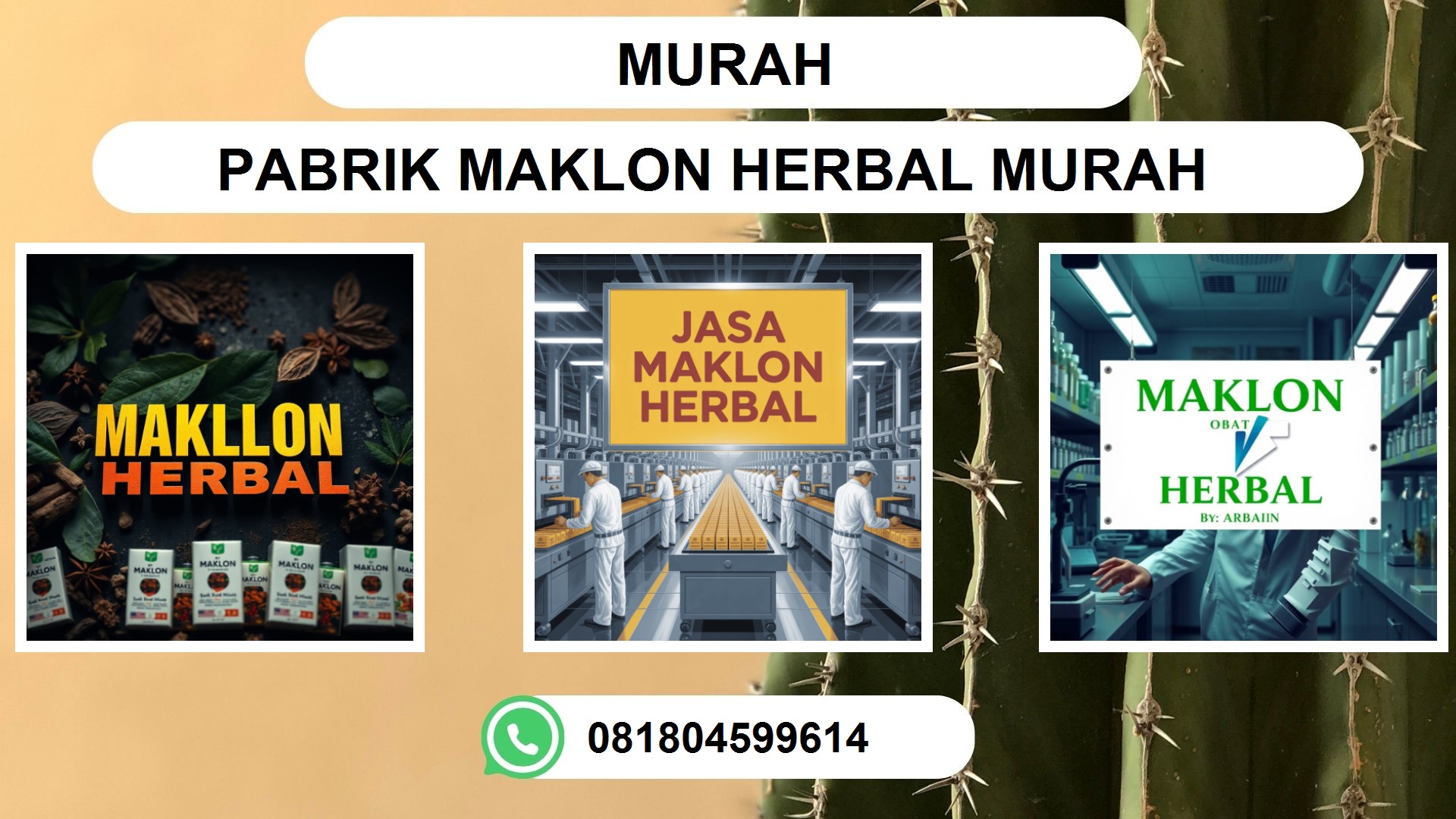 Pabrik Jasa Maklon Obat Herbal Semarang: Cocok Untuk Siapa? Menciptakan Keberhasilan Anda